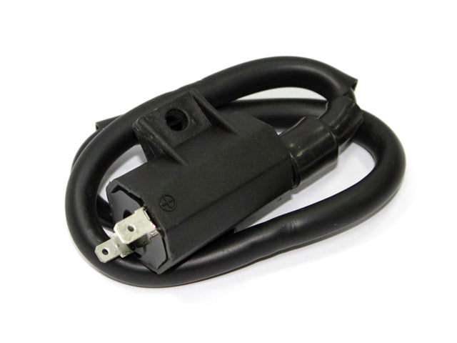 BRONCO AT-01316 ATV Ignition Coil for Kawasaki KRF 750 Teryx and KLF250 Bayou Models