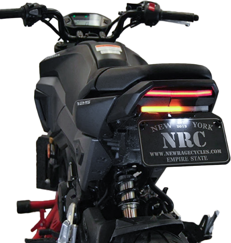 NEW RAGE CYCLES GROM-FE-13 Fender Eliminator for Honda MSX125 Grom (2013-2015)