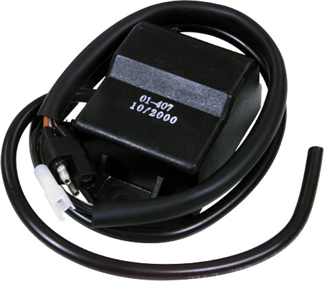 SP1 CDI Pol for Snow Electrical Systems - Part 01-407