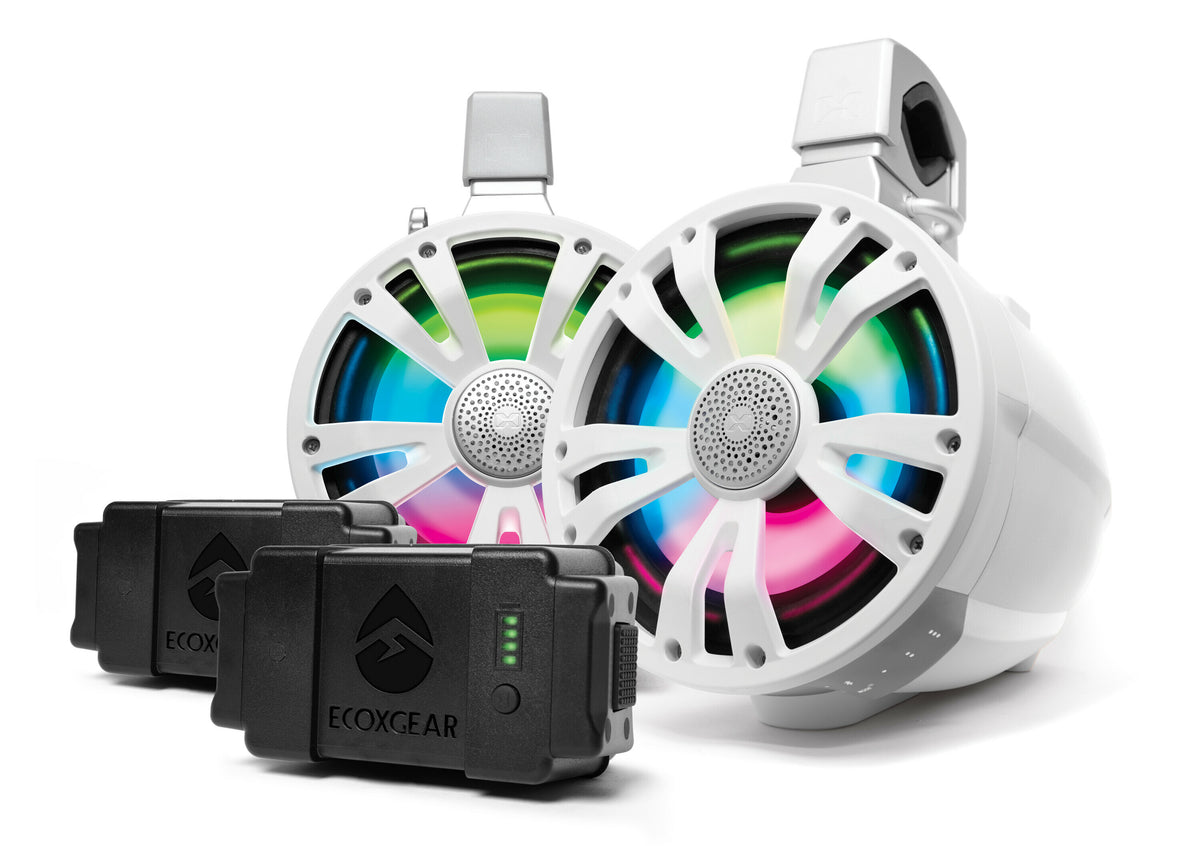 ECOXGEAR SoundExtreme ETB08 Amplified Bluetooth Tower Speakers – 8 Inch Marine-Grade Waterproof Stereo System with RGB LED Lights and Dual Rechargeable Batteries