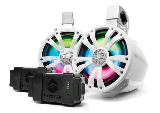 ECOXGEAR SoundExtreme ETB08 Amplified Bluetooth Tower Speakers – 8 Inch Marine-Grade Waterproof Stereo System with RGB LED Lights and Dual Rechargeable Batteries