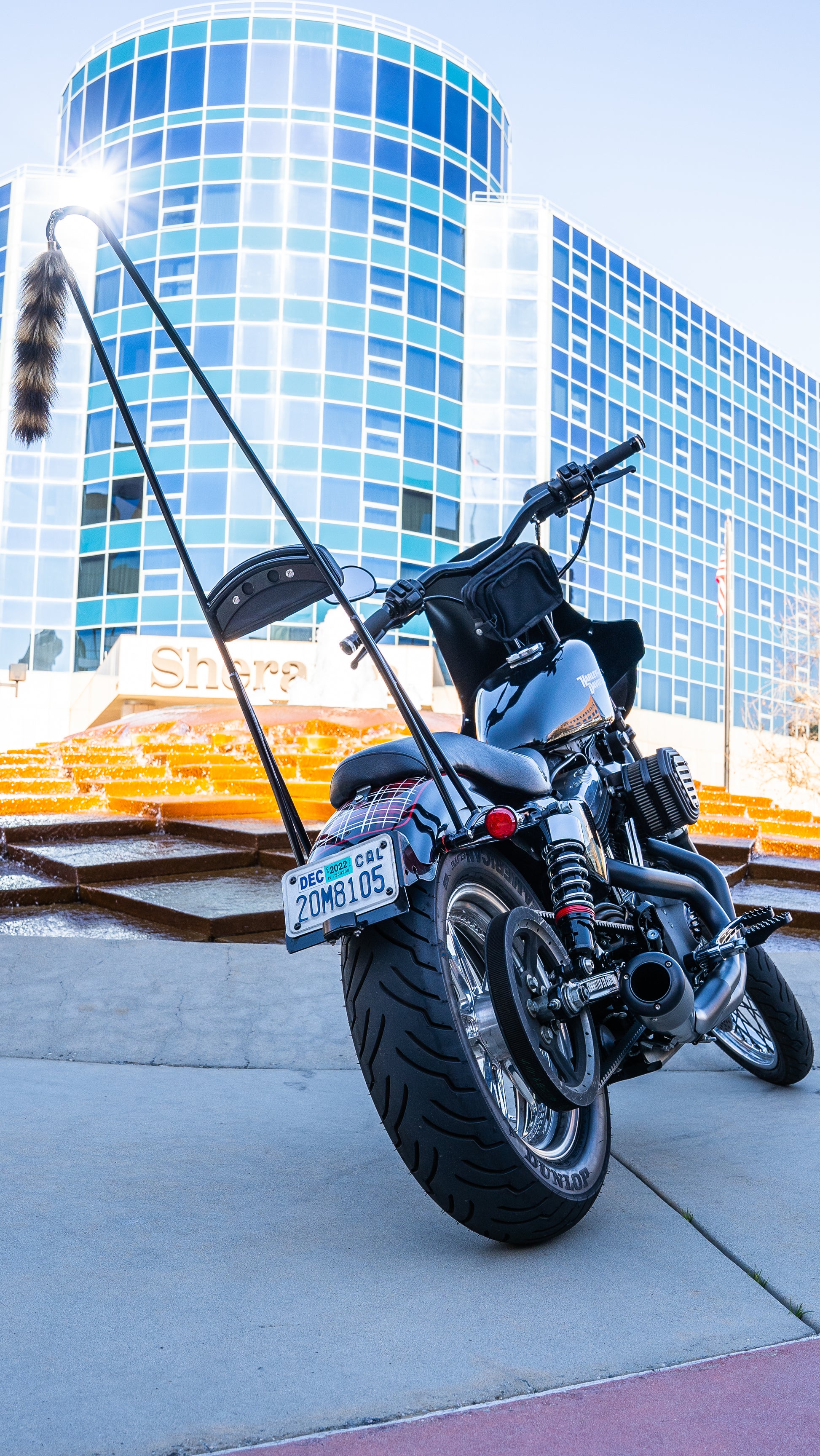 Burly Brand Stupid Tall Sissy Bar with Back Pad for Harley Davidson XL and Sportster Models