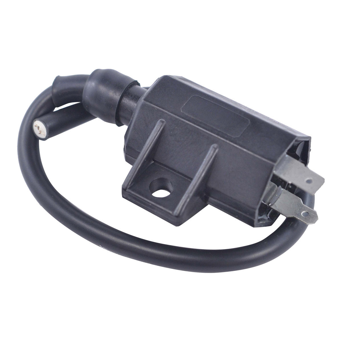 RM Stator External Ignition Coil for Offroad Vehicles - Part No. RM06030