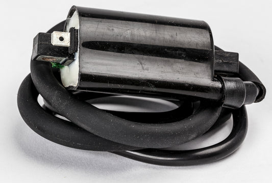 RICKS Ignition Coil for Honda TRX680FA Rincon and NT700V Deauville - Reliable Replacement Part