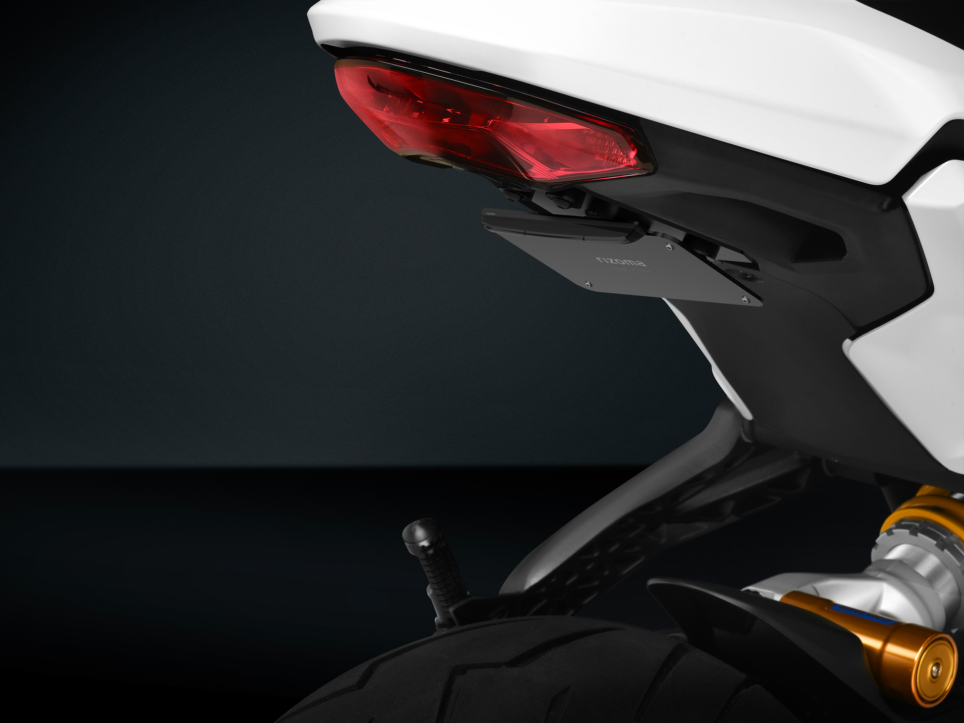 RIZOMA Flat Out Fender Eliminator for Ducati - Part Number PTU013B