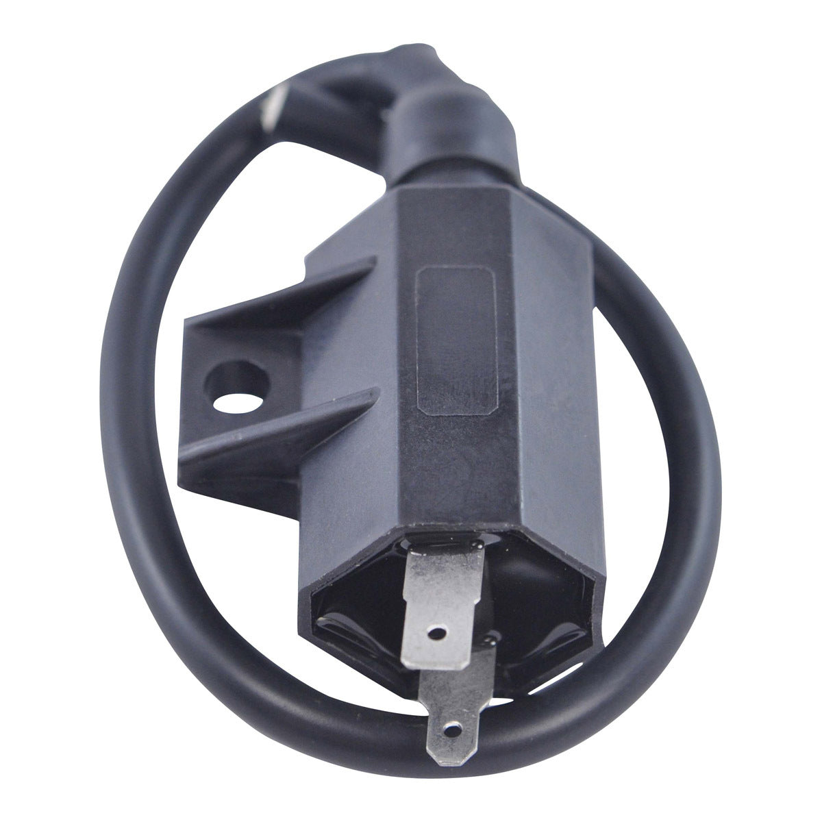 RM Stator External Ignition Coil for Offroad Vehicles - Part No. RM06030