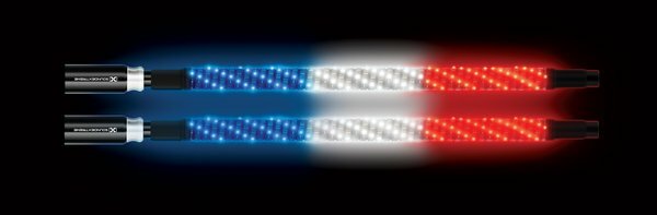 ECOXGEAR Two 2' LED Whips with Wireless Controller for ATV and UTV
