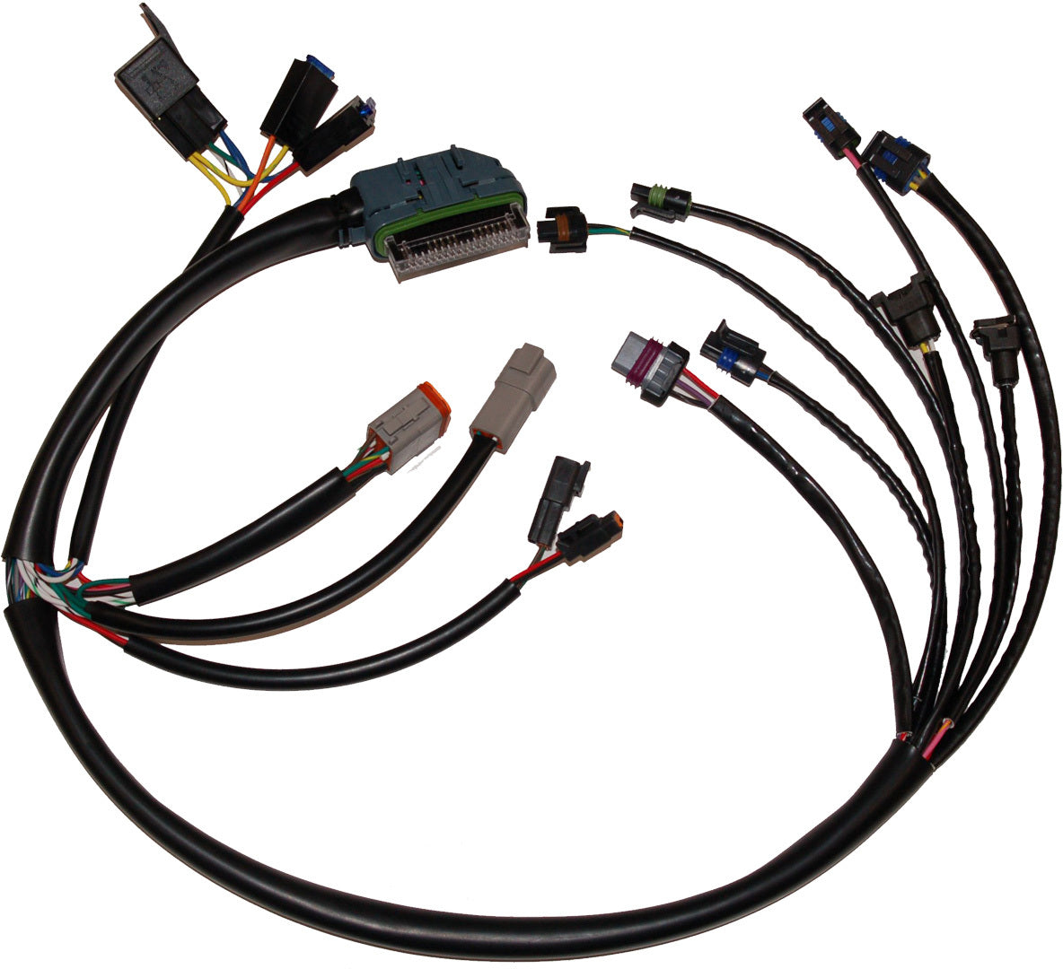 NAMZ Custom Cycle NHD-70233-02 Complete EFI Harness for Harley Davidson 2002-2003