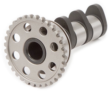 Hot Cams Racing Camshaft Stage 2 for Yamaha YZ450F (Part 4089-2IN)