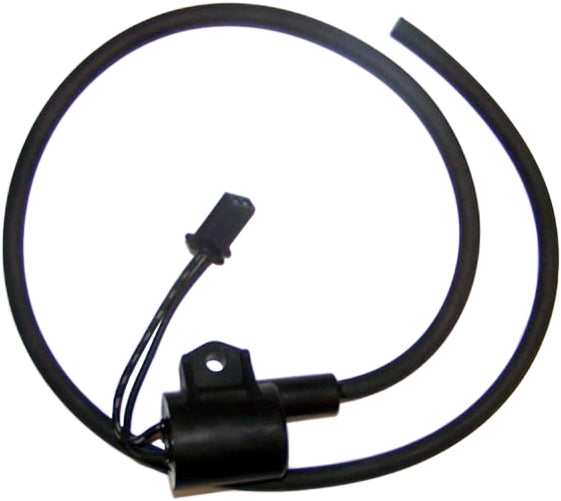 WSM Ignition Coil for Kawasaki 900/1100 Watercraft - Reliable Spark Generation